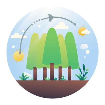 A detailed illustration of the carbon cycle is depicted. In the center, several tall green trees with thick trunks are shown, their leaves a bright shade of green. These trees are absorbing carbon dioxide, which is represented by arrows in a light gray color pointing towards the leaves. Surrounding the trees, a clear blue sky is visible, with fluffy white clouds. Below the trees, the ground is rich with dark brown soil and various small plants. Scattered among the trees, sun rays are shining down, highlighting their green foliage. Interspersed in the scene, small bubbles labeled with "oxygen" are rising from the trees, symbolizing the release of oxygen into the atmosphere.