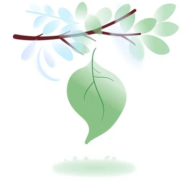 A single green leaf is suspended in mid-air, slowly descending from a thin, textured tree branch. The leaf has distinct veins and a slightly curled edge, showcasing its natural details. Below the leaf is a soft, grassy ground, adding depth to the scene. Delicate light shines through the leaves of the tree, casting a gentle glow on the falling leaf. The background features a blurred array of other foliage, enhancing the focus on the lone leaf.