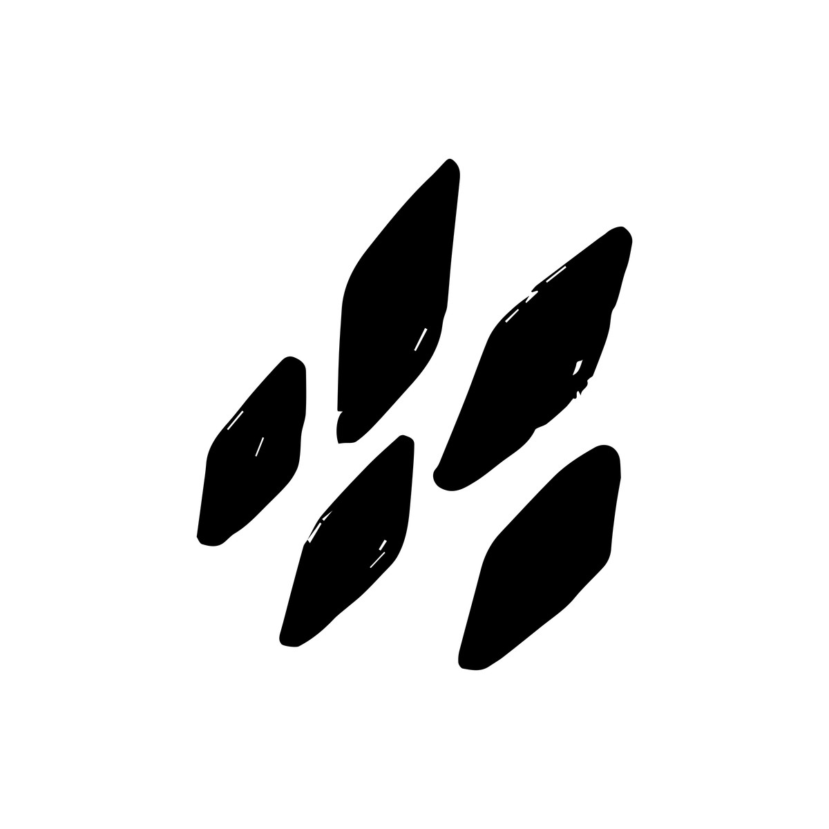 Scribbles illustration in PNG, SVG
