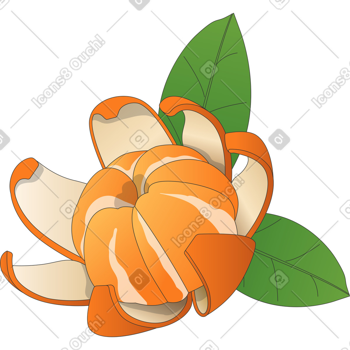 Ilustração de Tangerina descascada em no estilo Kit para baixar em PNG, SVG