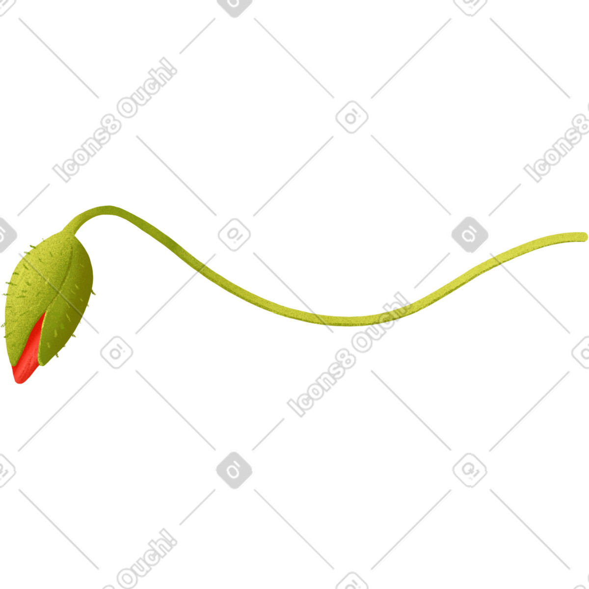 Иллюстрация Poppy bud without leaves в стиле Floral — скачать в форматах PNG, SVG