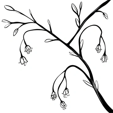 A close-up view of "willow blossoms" hanging delicately from "slender branches." The blossoms display intricate details of their petals and structures. The branches extend gracefully, with fine textures and patterns visible in the bark. The background features more blurred willow twigs and branches, enhancing the focus on the blossoms.