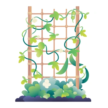 A wooden trellis stands tall in the center of the image, adorned with vibrant climbing plants like green peas and kidney beans reaching upward. The trellis is made of light brown wood, showing natural texture and grain. The pea plants have delicate tendrils curling around the slats of the trellis, while the bean plants feature broad green leaves and small white flowers. Each plant is supported by thin bamboo stakes, which are tied securely with twine. The ground is rich and dark, with small patches of soil visible among the lush greenery at the base of the trellis. Sunlight casts gentle shadows on the plants, highlighting their fresh, vibrant colors.