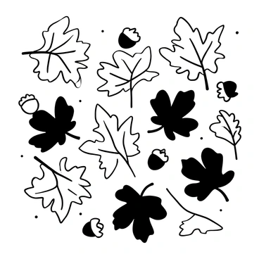 An array of autumn leaves scattered on the ground, showcasing various shapes and sizes. The leaves include broad maple leaves and slender birch leaves, each displaying distinct textures. The arrangement is random, with some leaves overlapping slightly. A few acorns and twigs are interspersed among the leaves, adding to the natural scene.
