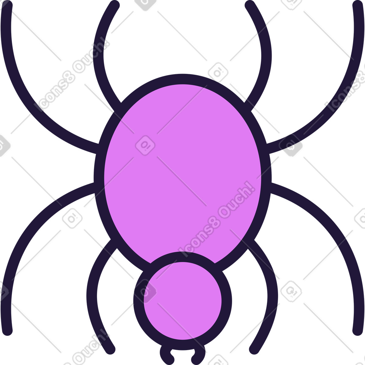 Conifer スタイルの クモ のイラストをPNG、SVG形式でダウンロード