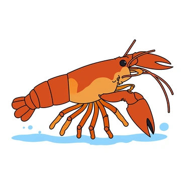 A detailed illustration of a crawfish, showcasing its intricate anatomy. The crawfish has a robust body with a mix of reddish-brown and orange hues. Its head features large, compound eyes and long, thin antennae extending outward. The claws are prominently displayed, with one claw significantly larger than the other, revealing sharp pincers. The segmented abdomen is visible, with a series of distinct segments, each adorned with fine textures and patterns. The illustration captures the crawfish in a natural pose, with its legs arranged symmetrically on either side. The background includes splashes of gentle aquatic colors, hinting at its freshwater habitat.