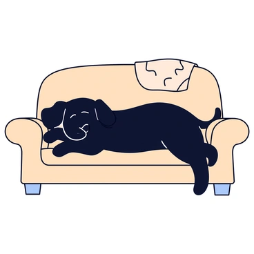 A black dog with shiny fur is lounging comfortably on a couch. The dog has its eyes closed, appearing relaxed and content. The couch is upholstered in a light beige fabric, and there is a soft, textured blanket draped over its back. The blanket features a subtle pattern and adds a sense of warmth to the scene. The dog's paws are resting gently on the couch, contributing to the cozy atmosphere.