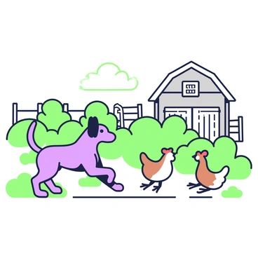 A dackel is playfully chasing a group of chickens in a busy farmyard. The dackel has a short body and long ears, with its tail wagging excitedly. The chickens, a mix of white and brown, are flapping their wings and running in various directions. In the background, there are wooden fences and a barn with a sloped roof. A few green bushes are scattered around the yard, and the sun casts clear shadows on the ground.