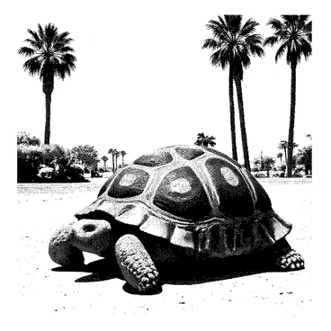 A large Blastoise is positioned comfortably near a desert oasis. Its shell is prominently displayed, with its cannons resting at its sides. In the background, there are several tall palm trees, their fronds gently swaying. The oasis features a clear blue pool of water, reflecting the sunlight. The surrounding sandy terrain is barren, emphasizing the lushness of the oasis. Blastoise's eyes are half-closed as it seems to enjoy the peaceful ambiance.