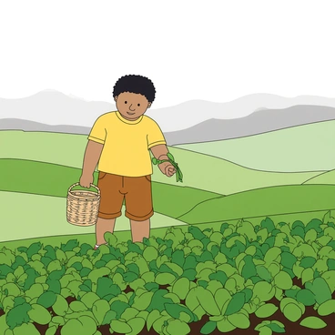 A young child with light brown skin and short curly hair is wearing a bright yellow t-shirt and brown shorts. They are standing on a lush green hill covered in tea plants, carefully plucking fresh tea leaves with both hands. The morning is misty, with soft gray clouds hovering above the landscape, creating an atmospheric backdrop. The child has a small woven basket slung over their arm, ready to collect the harvested leaves. In the distance, other gentle hills fade into the mist, enhancing the sense of a tranquil, early morning setting.