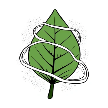 A "green leaf" prominently displayed in the center, intricately wrapped in "spider silk" that glistens as it catches the light. The leaf has visible veins and textures, showcasing its natural details. The spider silk forms delicate strands that intertwine around the leaf, creating an intricate pattern. The background consists of soft, blurred textures to emphasize the leaf and silk.