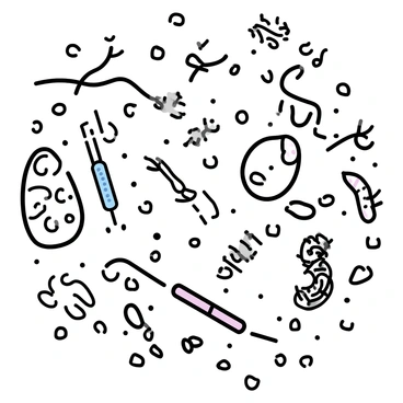 A close-up view of microscopic life, featuring various microorganisms such as bacteria and protozoa, interacting within a field of tissue cells. The tissue cells exhibit a layered structure with visible nuclei and cytoplasm. Among them, the microorganisms are portrayed in various shapes, including rod-like and spherical forms. Some microorganisms display flagella for movement, while others are stationary, nestled among the tissue cells. The scene is rich with textures, highlighting the complexity of this microscopic ecosystem.