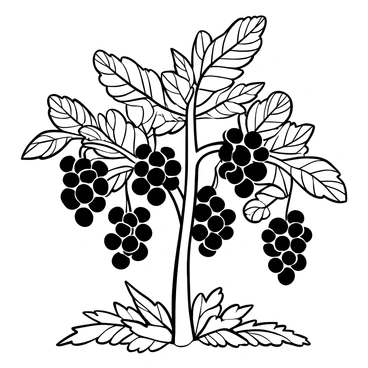 A cluster of elderberry plants with clusters of dark berries hanging from the branches. The leaves are detailed with intricate veins and patterns, creating a dense backdrop. The plants are surrounded by fallen leaves on the ground, creating a textured surface. The branches are slightly bent under the weight of the berries, showcasing an abundance of fruit.