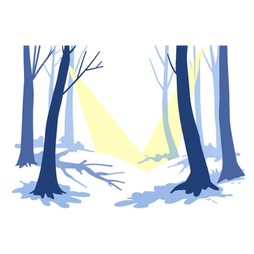A forest landscape shrouded in early morning fog, with faint sunlight breaking through