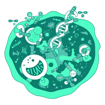A teal cellular factory filled with intricate machinery and structures resembling organelles. In the center of the factory, there are large white ribosomes actively synthesizing proteins with precision. Surrounding the ribosomes, there are colorful strands of mRNA being translated into protein chains. Various enzymes and factors are depicted as small, dynamic figures assisting in the process. The environment is bustling with movement, showcasing the complexity and efficiency of protein synthesis.