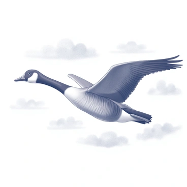A Canada goose in flight with its wings fully extended. The bird is captured mid-soar, showcasing its elongated neck and pointed wings. Below the goose, the sky is filled with scattered clouds, creating a dynamic atmosphere around the bird. The overall scene emphasizes the elegance of the goose as it navigates through the open air.