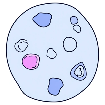 A microscopic view of a biological tissue sample showing a variety of individual cells. The cells are of different shapes and sizes, with clear boundaries. Each cell is filled with distinct internal structures, and some cells display visible nuclei. The background is a subtle gradient that enhances the focus on the cells, creating a sense of depth. The overall composition highlights the intricate details of the cellular structure.