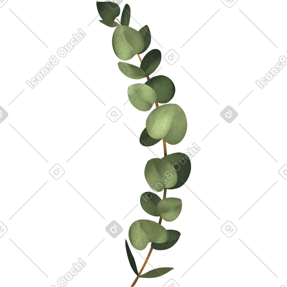 Eucalyptus sprig-Illustration im Demure-Stil als Download in PNG, SVG