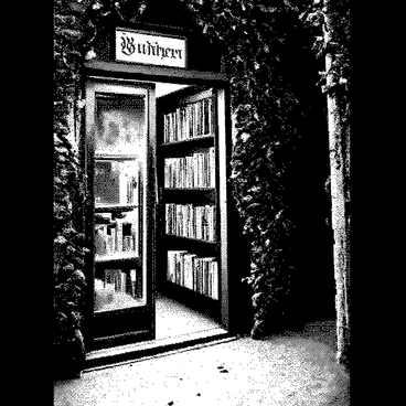 A hidden bookshop is nestled in a narrow, dimly-lit alleyway. The entrance is framed by old brick walls covered in creeping vines. The door is slightly ajar, revealing shelves filled with a variety of "rare anime illustration books." Soft light spills from inside, illuminating the spines of the books that feature intricate cover designs. A small wooden sign hangs above the door, bearing the shop's name in elegant lettering. Scattered on the ground are fallen leaves, hinting at the changing seasons. A faint glow from a lamp within casts long shadows, creating an inviting yet mysterious atmosphere.