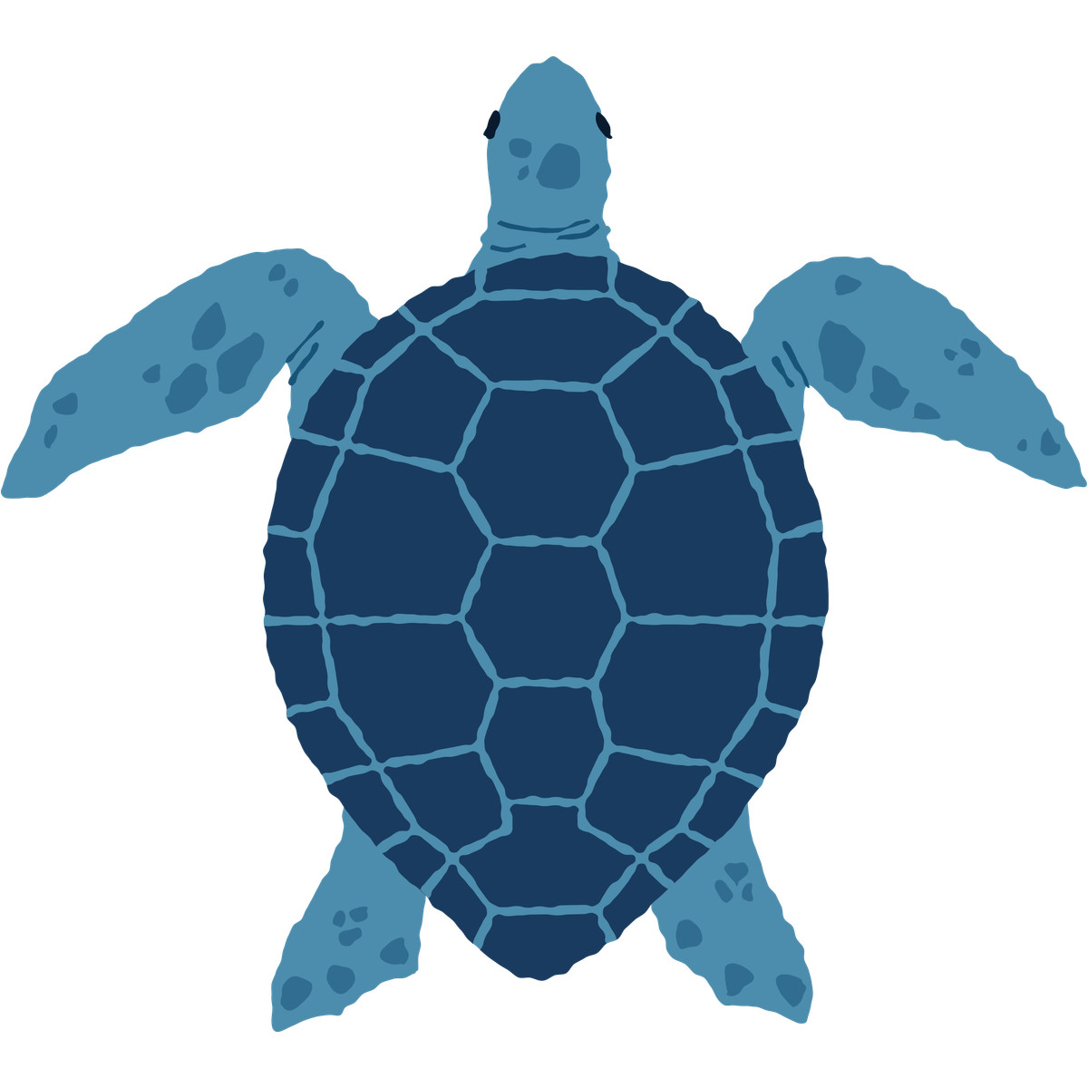 Sea turtle top illustration in Cherry style download in PNG, SVG