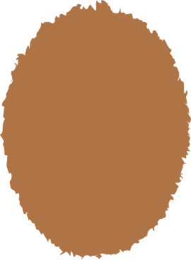 Ellipse brown PNG, SVG
