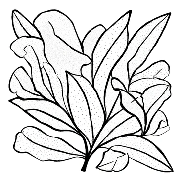 An embroidery piece featuring intricate "banana leaf patterns" carefully stitched on a textured fabric background. The design includes various sizes of "banana leaves" with detailed veins, some overlapping and others arranged in a radiating pattern. The edges of the leaves are delicately finished with fine stitches, creating a sense of depth and texture. The overall composition showcases the elegance of the "banana leaf patterns" as they flow seamlessly across the fabric surface.