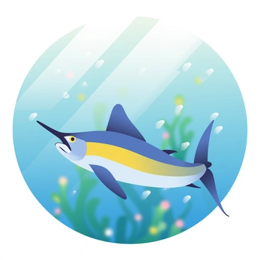 Sailfish