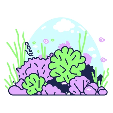 Seaweed