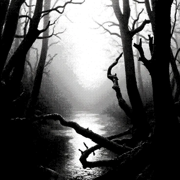 A misty swamp is filled with dense fog that shrouds the scene. Gnarled trees with twisted branches loom throughout the swamp, their bark appearing rough and textured. Mysterious glowing lights hover above the water's surface, casting subtle illuminations in the mist. The water reflects the muted shapes of the trees, creating a hauntingly beautiful atmosphere. Shadows dance in the background, enhancing the enigmatic quality of the swamp.
