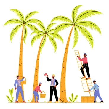 A group of farmers is harvesting "ripe dates" from "lush date palms" in a vibrant grove. The date palms have tall, slender trunks with bright green fronds spreading out at the top. The farmers, wearing wide-brimmed hats and light clothing, are using long poles to reach for clusters of dates hanging from the branches. Some farmers are carefully collecting the dates in woven baskets, while others are climbing ladders to access higher branches. The ground is covered with a mixture of fallen leaves and dates, and the sun casts dappled shadows through the palm leaves, creating a warm atmosphere in the grove.