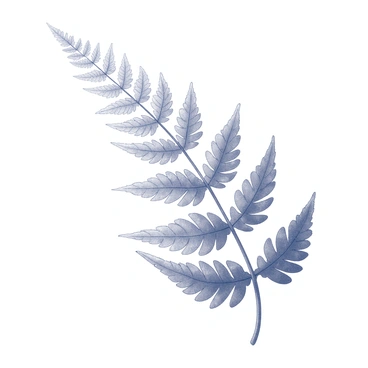 A single fern leaf is displayed prominently, showcasing its intricate fronds and delicate structure. The leaf exhibits fine, detailed veins and textures, capturing the natural elegance of the fern. Droplets of dew rest on the surface of the leaf, reflecting light and enhancing the perception of freshness. The background is minimal, focusing attention on the fern leaf and its features.