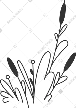 Reeds PNG, SVG