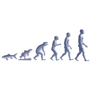 A sequence of evolutionary stages, showcasing the transition from fish to human. The first stage illustrates a basic fish with fins and gills, swimming in a body of water. The second stage depicts a fish-like creature with developing limbs, emerging partially onto land. The third stage features an amphibian, showcasing a more developed body structure, with hind limbs adapted for walking. The fourth stage presents a small reptile, demonstrating further adaptations with a more elongated body and scaly skin. The fifth stage shows a mammal, with fur and a more complex skeletal structure, resembling early primates. The final stage highlights a human figure standing upright, with distinct facial features and fully developed limbs, representing the culmination of evolution. Each stage is presented in a linear format for clear visual storytelling.