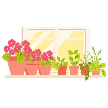 Geranium