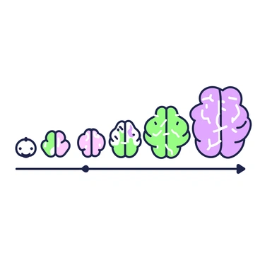 A timeline illustration displays a developing human brain from infancy to adulthood. At the leftmost point, there is an infant brain, small and rounded, nestled in soft, pastel colors. As the timeline progresses, the brain gradually increases in size and complexity, showcasing distinct lobes at each stage. In the middle section, the brain represents a child, with neural connections depicted as vibrant lines linking different areas. Continuing along the timeline, the adolescent brain exhibits further growth, with areas of focus highlighted, indicating active development. Finally, the adult brain appears at the end, fully matured with a more intricate structure, showcasing the full development of neural pathways. Each brain is labeled with its corresponding age, providing clear context for the viewer.