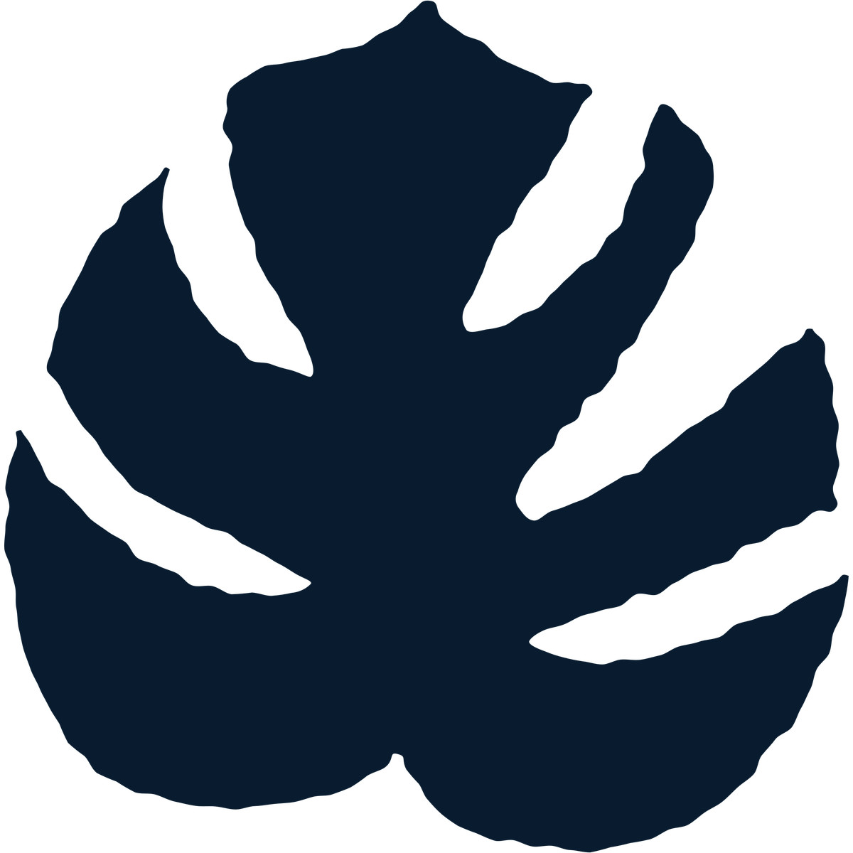 Illustration Monstera dans le style Cherry à télécharger aux formats PNG, SVG