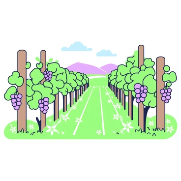 A vineyard in early spring with budding grapevines and wildflowers