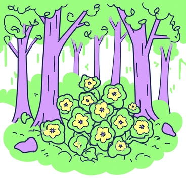 A patch of "evening primroses" is nestled among the trees in a dense forest. The flowers have delicate yellow petals that are slightly open, revealing their central structure, surrounded by lush green leaves. Tall, slender trees with thick trunks rise up around the flowers, their branches intertwining above to form a natural canopy. Dappled sunlight filters through the leaves, casting soft shadows on the forest floor. The ground is covered with a rich layer of fallen leaves and soft moss, enhancing the serene atmosphere of the hidden floral display.