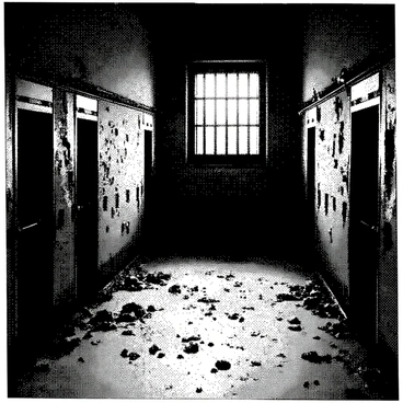 An abandoned prison cell is depicted with crumbling walls and rusted metal bars. The floor is covered with debris, and faint shadows are cast throughout the cell, creating an unsettling atmosphere. In the dim light, ghostly figures can be seen lingering in the corners, hinting at the presence of past inmates. The air is thick with a sense of history and confinement. A single, broken window allows a sliver of light to enter, illuminating parts of the scene with a stark contrast. "Eerie," "abandoned," and "ghostly" can be visually represented through the elements present in the cell.