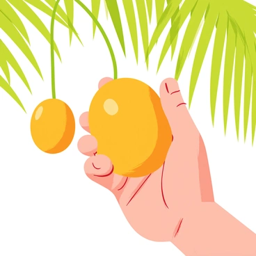 A hand holding a freshly picked, ripe "date fruit" with a golden-brown color. The hand is slightly weathered, showcasing wrinkles and sun-kissed skin. The background features green fronds of a palm tree, with some additional clusters of dates still hanging. The sunlight casts soft shadows, highlighting the smooth texture of the date fruit and the details of the palm leaves surrounding it.