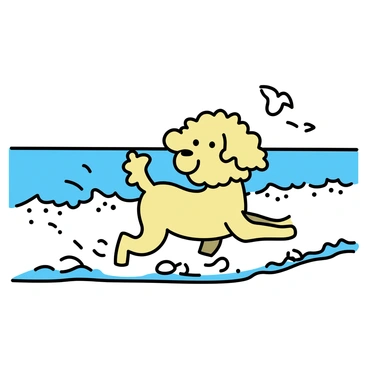 A playful labradoodle, with a curly golden coat, is splashing in ocean waves on a sandy beach. The dog's ears are flopped back as it bounds through the water, droplets flying around. The waves are crashing gently against the shore, creating a frothy white foam. Nearby, a few seashells are scattered along the wet sand, glistening in the sunlight. In the background, there are a few distant seagulls flying above the horizon.