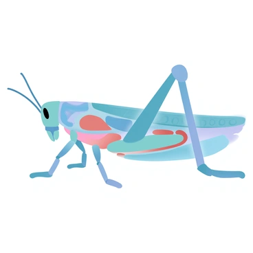 A detailed anatomical diagram of a grasshopper is displayed. The grasshopper is positioned in a lateral view, showcasing its segmented body. The exoskeleton is highlighted in a gradient of pastel colors. Internal organs such as the digestive system, respiratory system, and reproductive organs are clearly labeled. The digestive system includes the mandibles, crop, and intestines, depicted in contrasting colors for visibility. The tracheae are represented as branching tubes throughout the body. Each organ is accurately proportioned and placed in relation to its correct anatomical position within the grasshopper's body.
