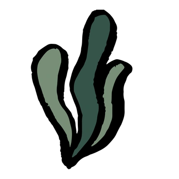 Three abstract green grass blades - Scandi style illustration