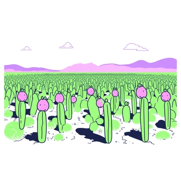 A panoramic view of vast dragon fruit fields extending towards the horizon. The fields are filled with tall, green cactus-like plants, each adorned with vibrant, spiky dragon fruit. In the foreground, the rows of plants are neatly arranged, showcasing the green stems and the bright, contrasting fruit. The background features a gentle slope that leads to distant hills, under a clear sky. The sunlight casts distinct shadows across the fields, highlighting the textures of the plants and the soil beneath them. The overall scene conveys the scale and beauty of the expansive dragon fruit cultivation.
