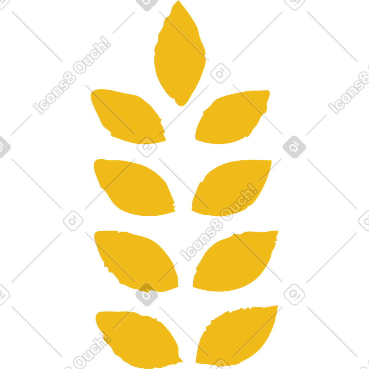 下载 Flamenco 风格的 小麦 插画，支持 PNG、SVG 格式