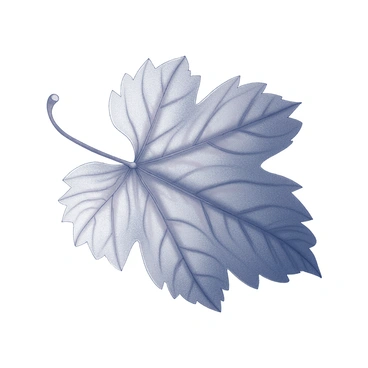 A single grape leaf is positioned prominently in the center of the image. The leaf displays intricate veins that weave throughout its surface, creating a detailed pattern. The texture of the leaf is visibly complex, with fine ridges and slight irregularities that enhance its realism. Light plays across the surface, highlighting the delicate contours and the overall shape of the leaf, which is slightly curled at the edges.