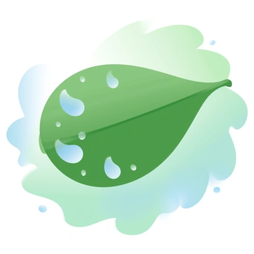 A large green leaf is prominently displayed, showcasing multiple droplets of morning dew resting on its surface. Each droplet reflects the soft early light, creating a sparkling effect. The background consists of a blurred array of green hues, suggesting a lush environment. The dew drops are varied in size, some small and round while others are larger and elongated. The scene captures the tranquility of a fresh morning.