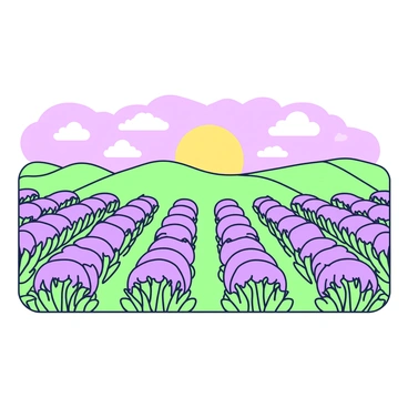 A lavender field stretches across the scene, filled with rows of purple blooms swaying gently in the breeze. In the background, a golden sunset casts warm light across the landscape. The sky features a gradient transitioning from deep purple to a soft golden hue near the horizon. A few clouds are scattered across the sky, reflecting the golden tones of the sunset. Throughout the field, an intricate pattern of straight rows creates a rhythmic visual flow, emphasizing the beauty of the blossoms.