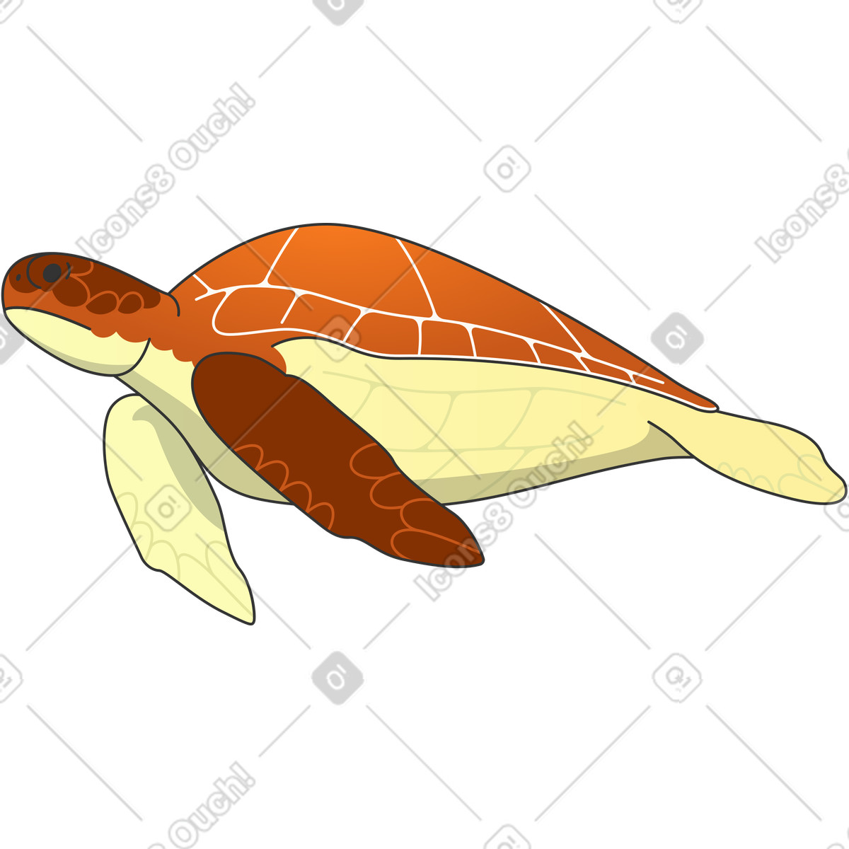 Small turtle illustration in Kit style download in PNG, SVG