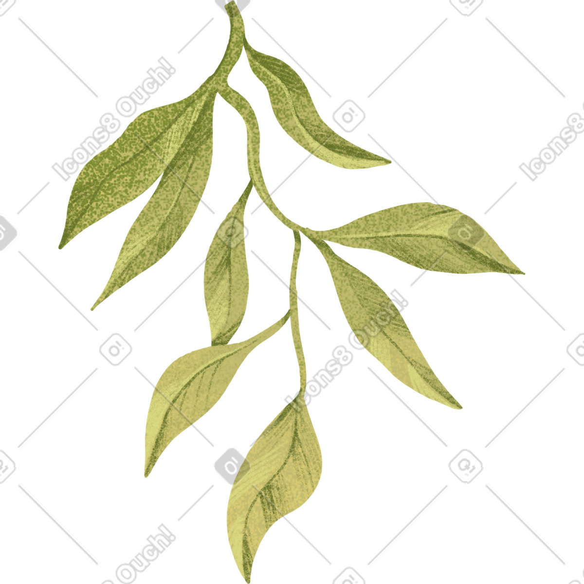 Green twig with many leaves illustration in Floral style download in PNG, SVG